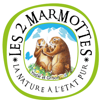 logo Les 2 Marmottes