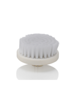 brosse visage