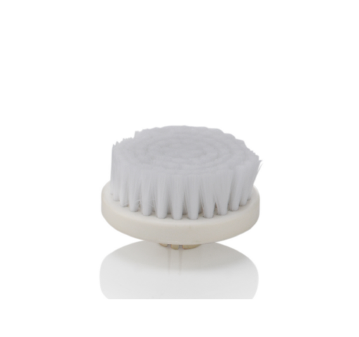 brosse visage