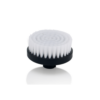 brosse visage